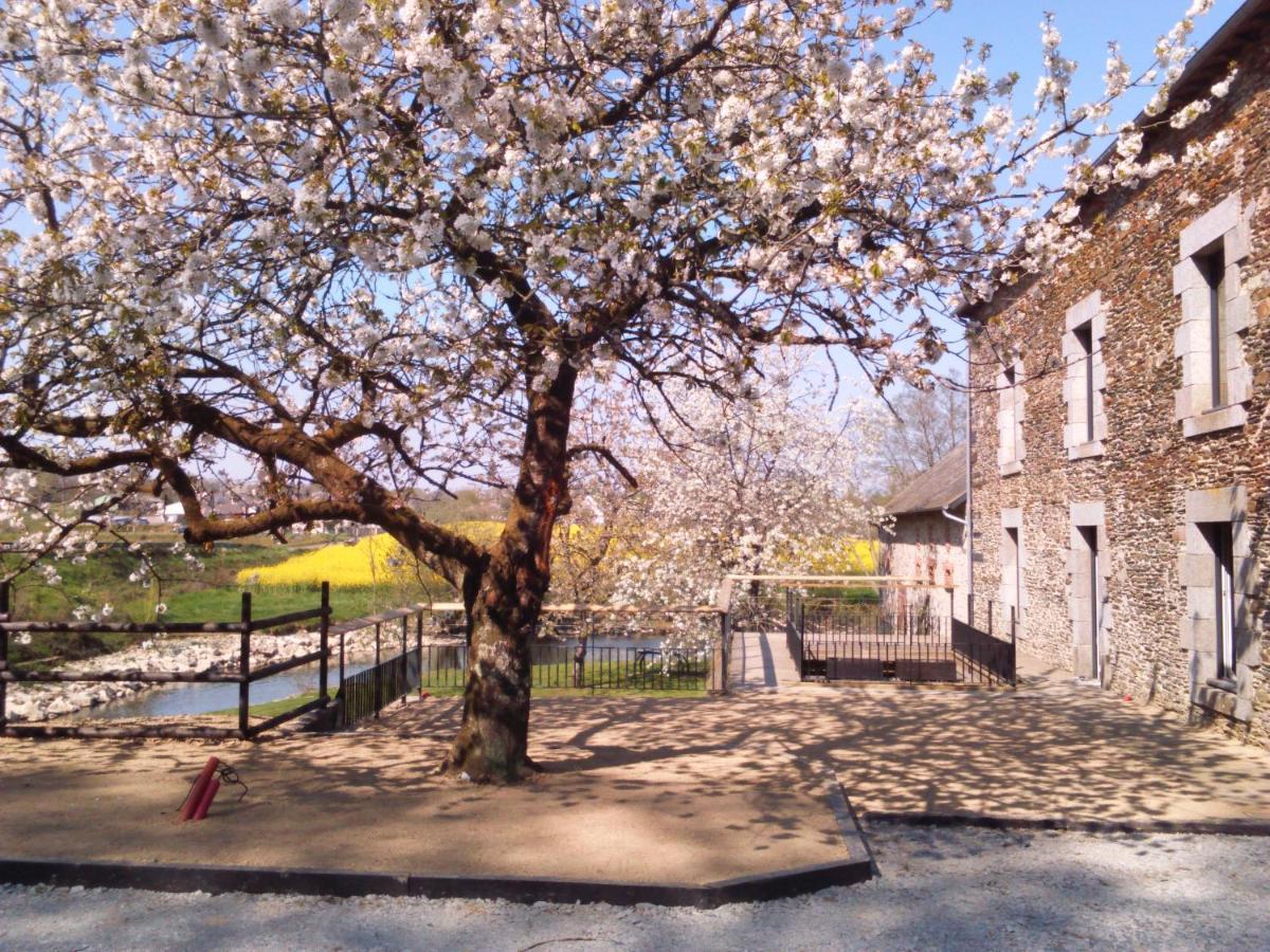 Le Moulin De Bretigneul Bed and Breakfast Saint-Aubin-des-Landes Εξωτερικό φωτογραφία